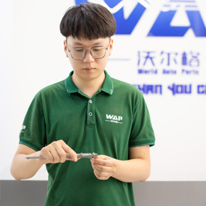 Zhu Dong