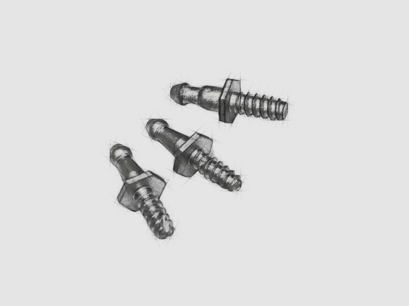 Fixing bolts