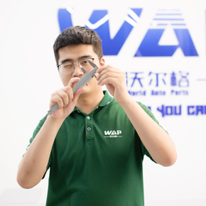 Zhu Danyang